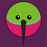  Hummingbird 