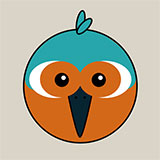  Kingfisher 