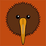  Kiwi 