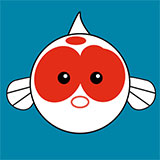  Koi Carp 