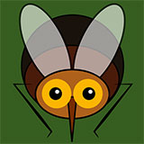  Mosquito 
