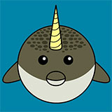  Narwhal 