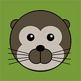  Otter 