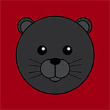  Panther 