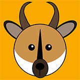  Pronghorn 