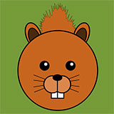  Red Squirrel 