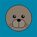  Seal 