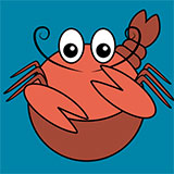  Shrimp 