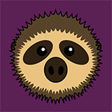  Sloth 