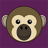  Spider Monkey 