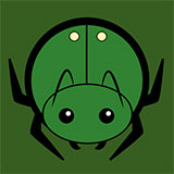  Tiger Beetle 