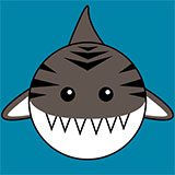  Tiger Shark 