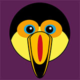  Toucan 