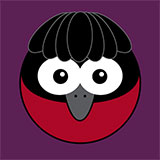  Umbrella Bird 