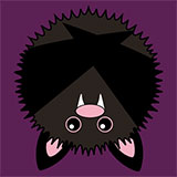  Vampire Bat 