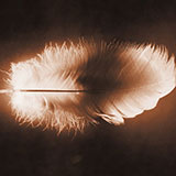  Feather 