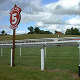  Furlong 