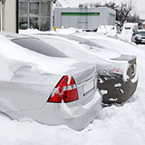  Snowdrift 