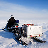  Snowmobile 
