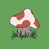  Toad Stool 