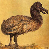  Extinct 