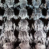  Iron Filings 