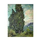  Cypresses 
