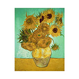  Sunflowers 