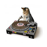  Cat Scratch 