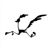  Road Runner 