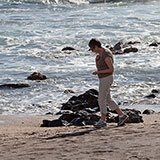  Beachcombing 