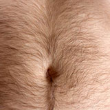  Hairy 