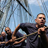  Halyard 