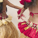  Hawaiian 