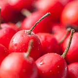  Hawthorn 