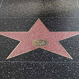  Hollywood 