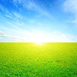  Horizon 