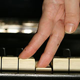  Ivories 