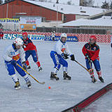  Bandy 