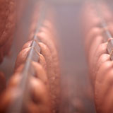  Curing 