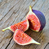  Fig 