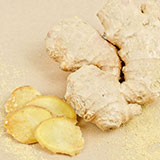  Ginger 