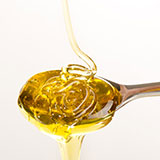  Honey 