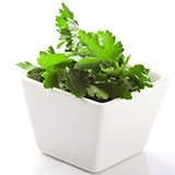  Parsley 