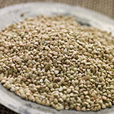  Quinoa 