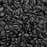 Sunflower Seeds 