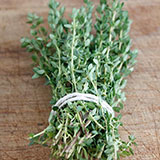  Thyme 