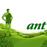  Green Giant 