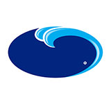  Ocean Spray 