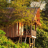  Bamboo Hut 